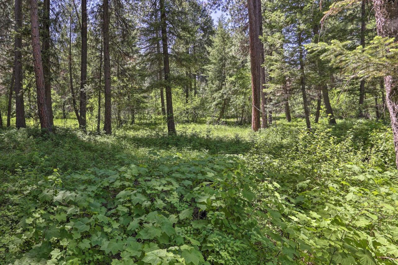 Peaceful Garden Valley Cabin With Private Deck! Crouch エクステリア 写真